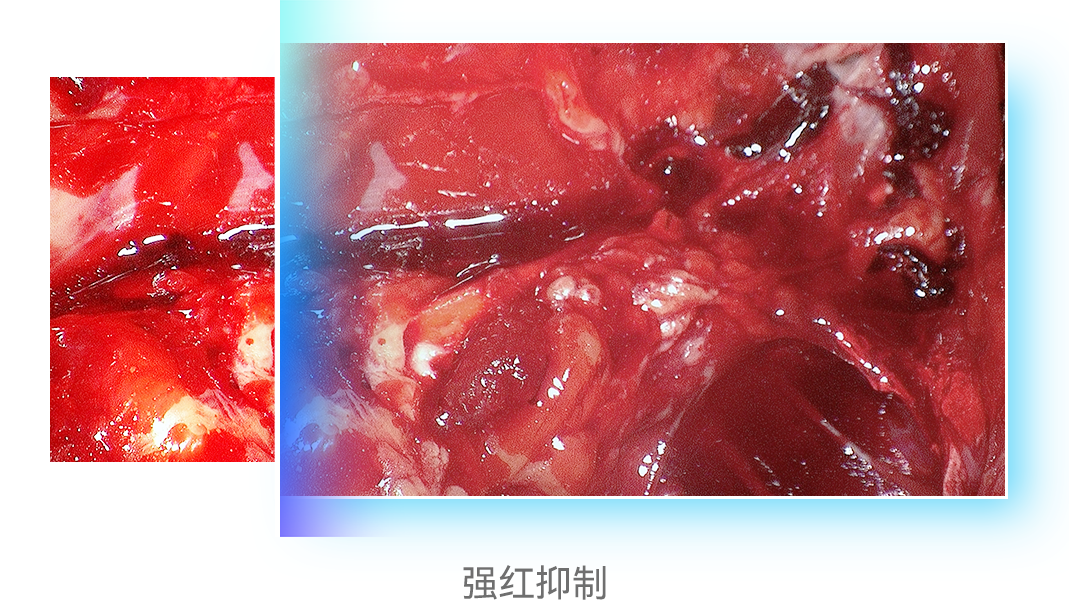 ddd5b58115317db85a69880566d029b0.png ddd5b58115317db85a69880566d029b0.png